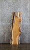 Thumbnail for White Oak Live Edge Charcuterie/Taxidermy/Shelf Slab 767