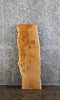 Thumbnail for White Oak Live Edge Charcuterie/Taxidermy/Shelf Slab 767