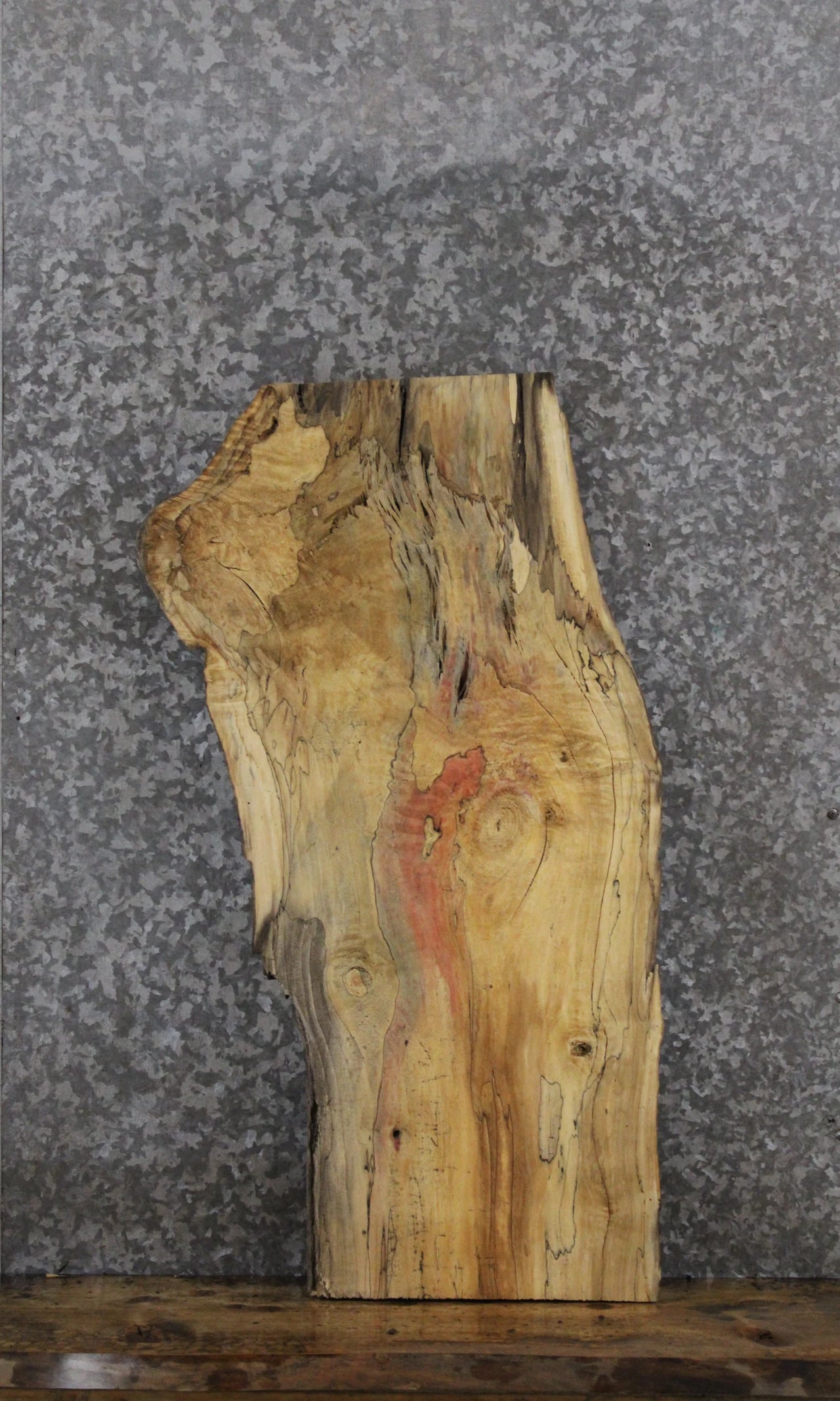 Spalted Maple Live Edge Taxidermy/End Table Slab 768