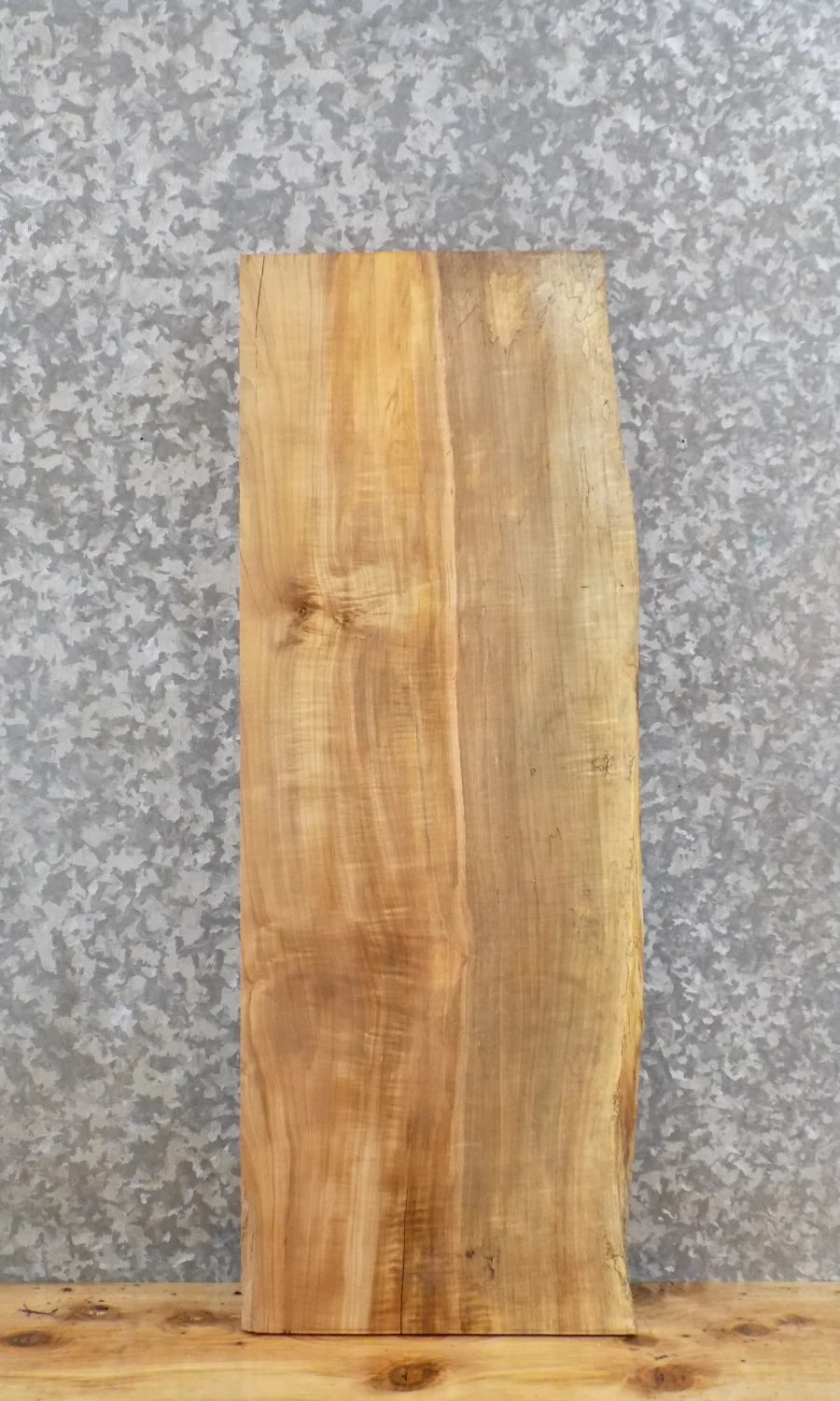Live Edge Spalted Maple Wall Shelf, Solid Wood Slab 769