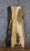 Thumbnail for Live Edge Hard Maple Side/Sofa Table Top Slab 769
