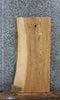 Thumbnail for Natural Live Edge Ash Bench/Console Table Slab 769