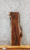 Thumbnail for Black Walnut Live Edge Wood, Rustic Taxidermy Slab 771