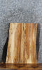 Thumbnail for Live Edge Spalted Maple Charcuterie Board/End Table Top 771