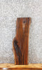 Thumbnail for Black Walnut Live Edge Wood, Rustic Taxidermy Slab 771