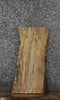 Thumbnail for Spalted Maple Live Edge Charcuterie/End Table Slab 772
