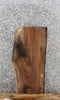 Thumbnail for Black Walnut Live Edge Charcuterie/End Table Slab 776