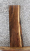 Thumbnail for Live Edge Black Walnut Taxidermy Mount/Side Table 777