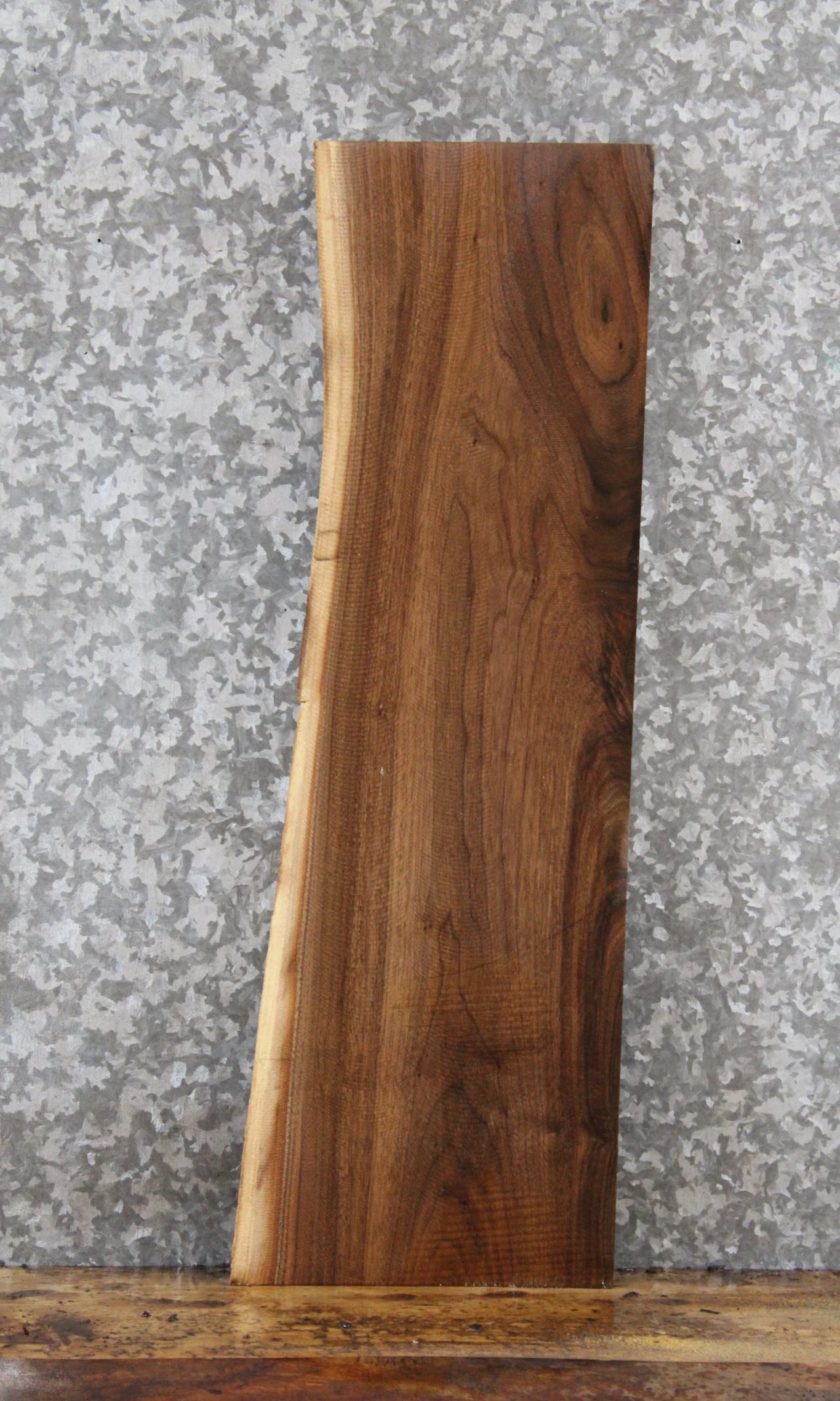 Live Edge Black Walnut Taxidermy Mount/Side Table 777