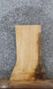 Thumbnail for Live Edge Maple End/Side Table Slab 777