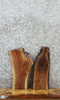 Thumbnail for 2- Walnut Live Edge Charcuterie/Taxidermy/Shelf Slabs 7798-7799