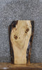 Thumbnail for Elm Live Edge End Table/Charcuterie Board 779
