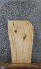 Thumbnail for Elm Live Edge End Table/Charcuterie Board 779