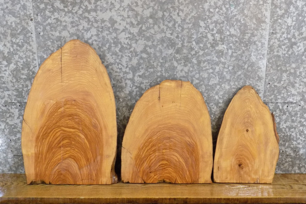 3- Live Edge Rustic Ash DIY Charcuterie Boards/Craft Pack Slabs 7801-7803