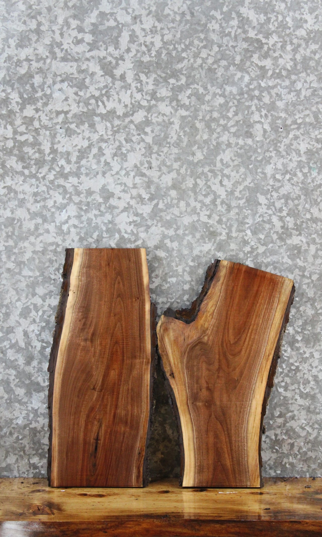 2- Walnut Live Edge Charcuterie/Taxidermy Slabs 7806-7807