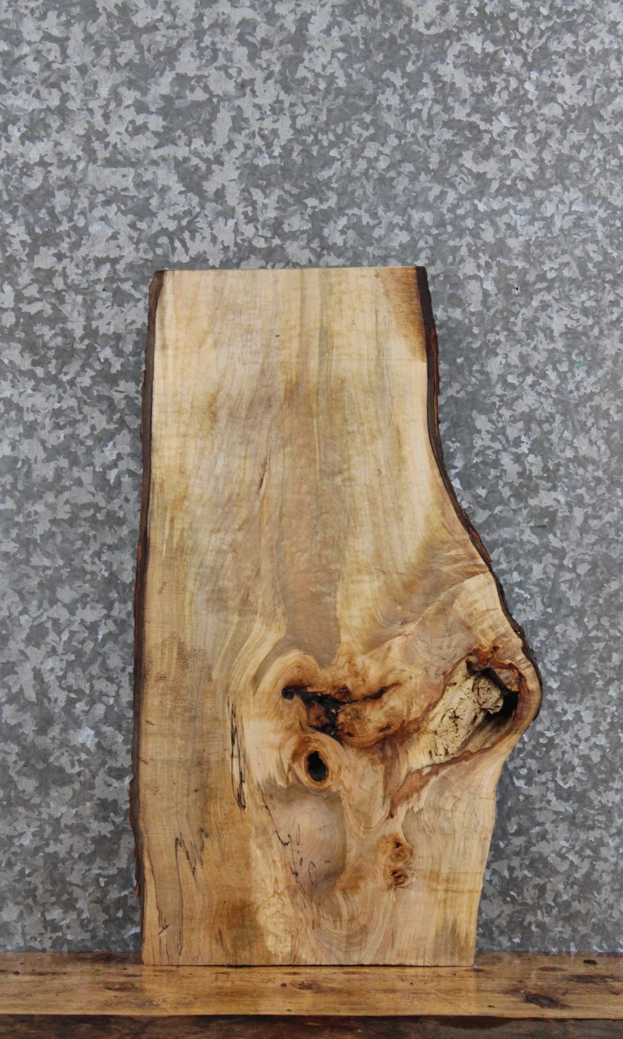 Live Edge Spalted Maple Taxidermy Mount/Sofa Table Top 780