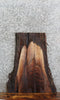 Thumbnail for Live Edge Black Walnut Taxidermy Mount/Coffee Table Slab 780