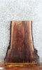 Thumbnail for Live Edge Black Walnut Taxidermy Mount/Coffee Table Slab 780