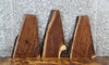 Thumbnail for 3- Live Edge Black Walnut Charcuterie Boards/Craft Pack Slabs 7811-7813