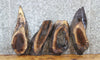 Thumbnail for 4- Live Edge Black Walnut Charcuterie Boards/Craft Pack Slabs 7814-7817