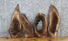 Thumbnail for 4- Live Edge Black Walnut Charcuterie Boards/Craft Pack Slabs 7814-7817
