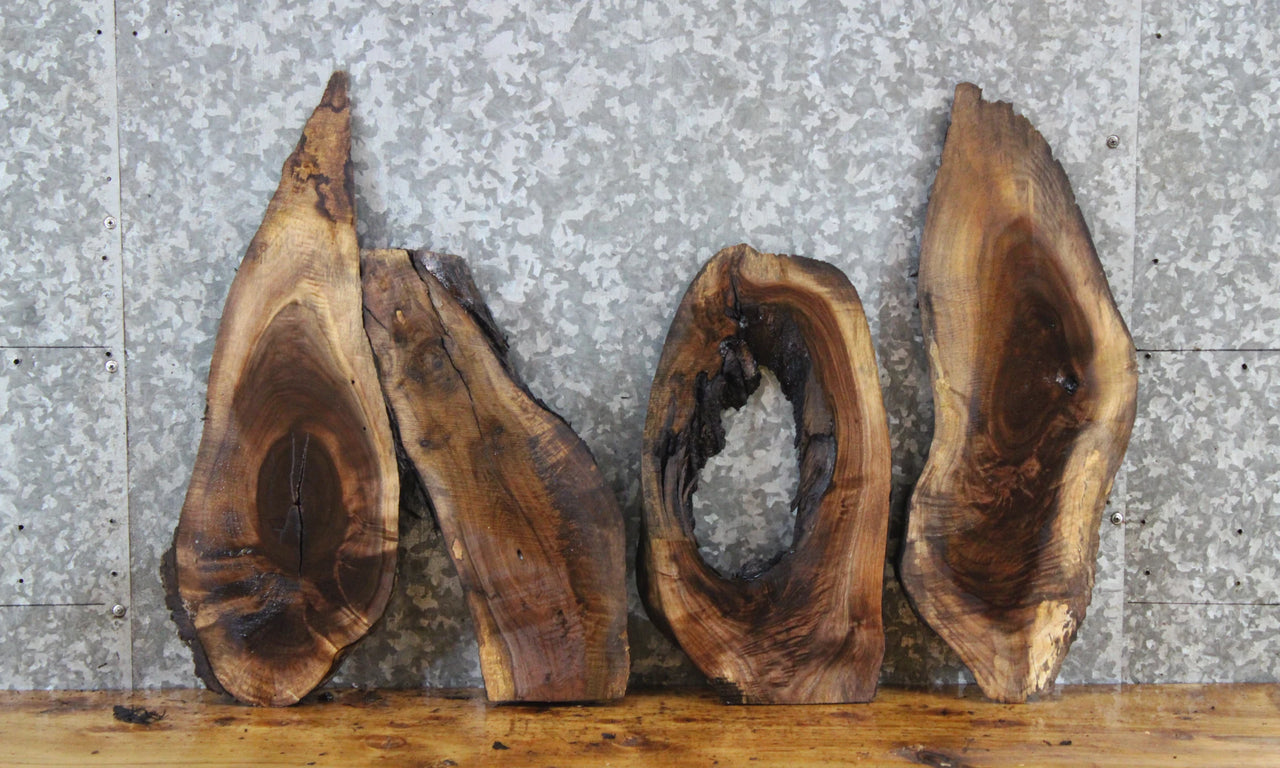 4- Live Edge Black Walnut Charcuterie Boards/Craft Pack Slabs 7814-7817