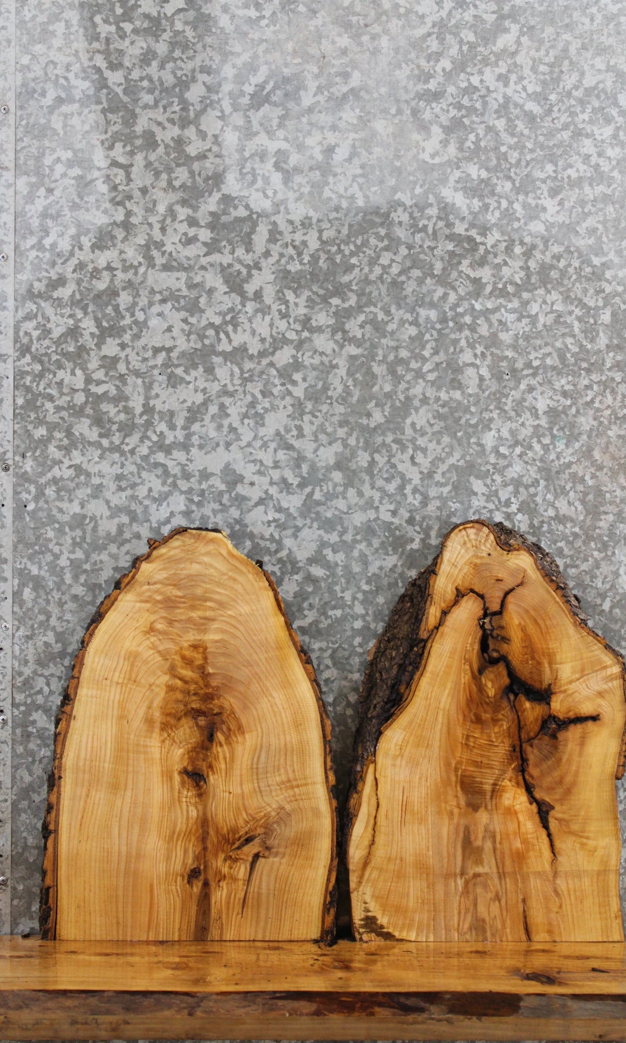 2- Ash Live Edge Charcuterie Boards/Taxidermy Slabs 7819-7820