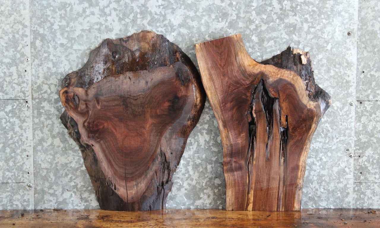2- Live Edge Black Walnut End Table Tops/Charcuterie Boards 7820-7821