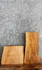 Thumbnail for 2- Live Edge Ash End/Side Table Top Slabs 7822-7823
