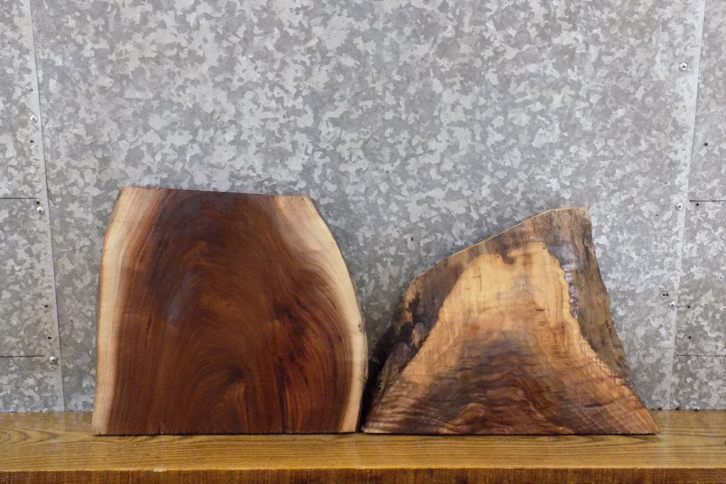2- Live Edge Black Walnut DIY Charcuterie Boards/Slabs CLOSEOUT 7878-7879