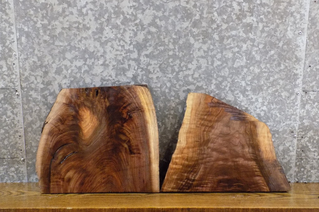 2- Live Edge Black Walnut DIY Charcuterie Boards/Slabs CLOSEOUT 7878-7879