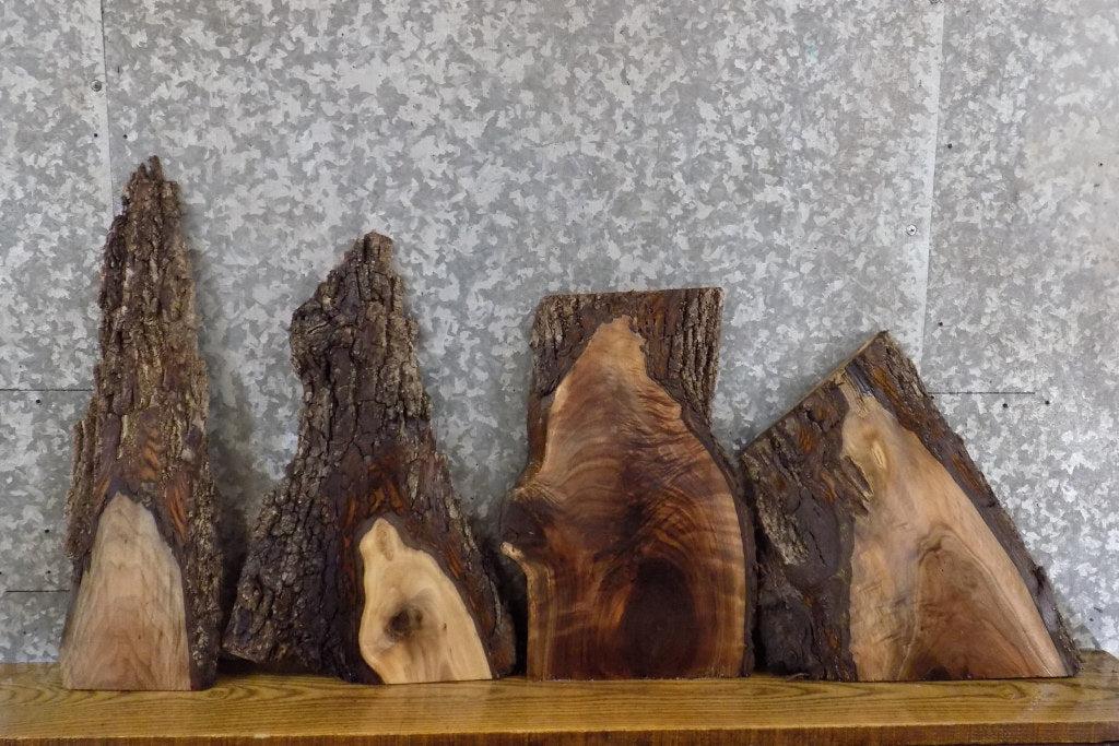 4- Black Walnut Live Edge Craft Pack/DIY Charcuterie Boards 7880-7883