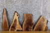Thumbnail for 4- Black Walnut Live Edge Craft Pack/DIY Charcuterie Boards 7880-7883