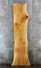 Thumbnail for Live Edge Ash Bar/Counter Top Slab 791
