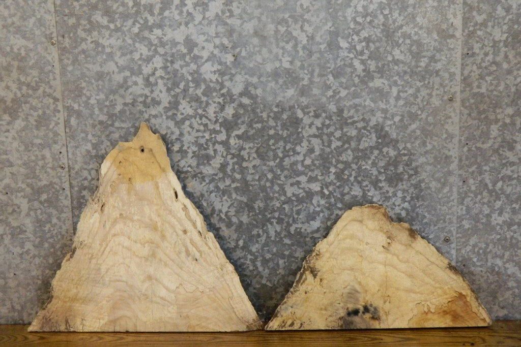 2- Live Edge Ash Craft Pack/Taxidermy Base Slabs 7929-7930