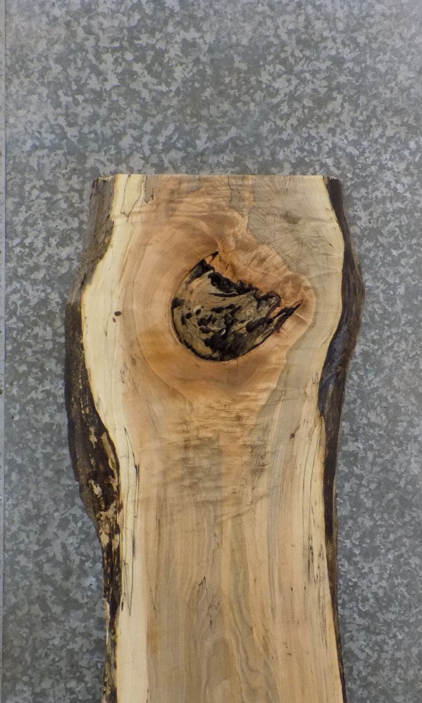 Live Edge Reclaimed Spalted Maple Table Top Slab CLOSEOUT 803