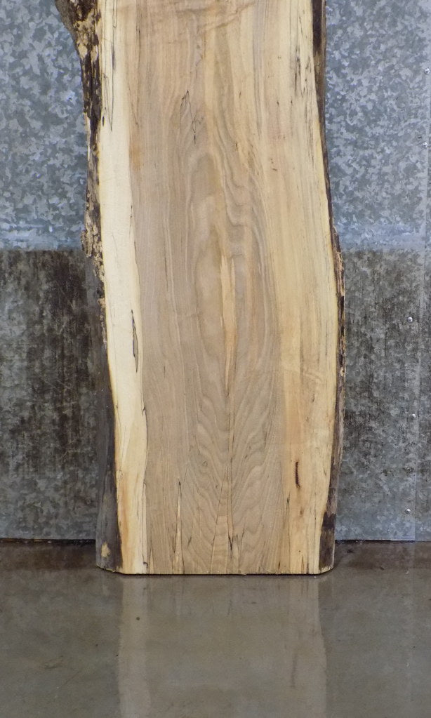 Live Edge Reclaimed Spalted Maple Table Top Slab CLOSEOUT 803