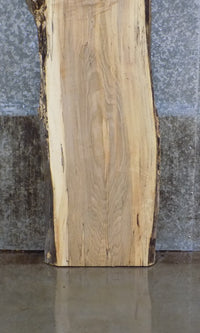 Thumbnail for Live Edge Reclaimed Spalted Maple Table Top Slab CLOSEOUT 803