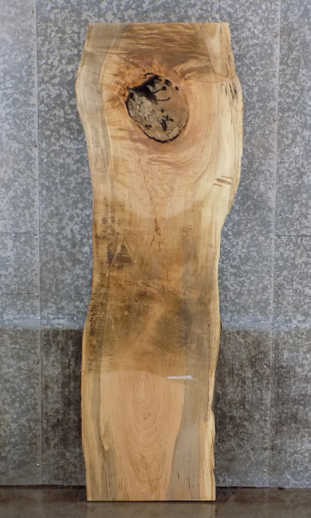 Live Edge Reclaimed Spalted Maple Table Top Slab CLOSEOUT 803