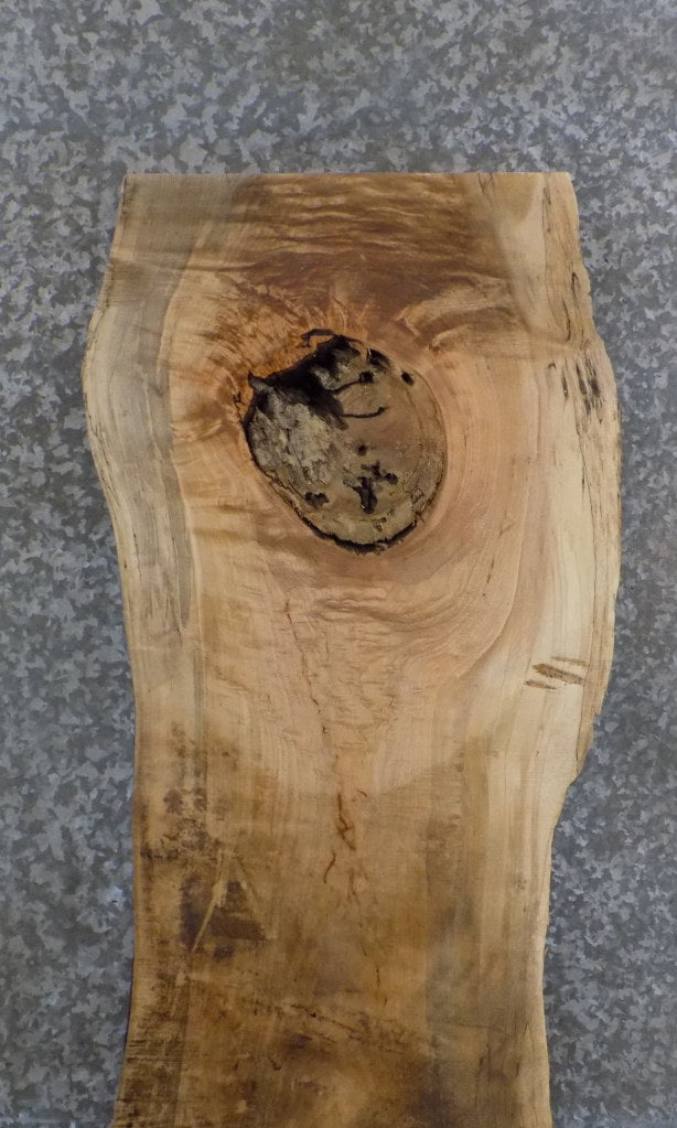Live Edge Reclaimed Spalted Maple Table Top Slab CLOSEOUT 803