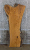 Thumbnail for White Oak Rustic Bar/Office Desk Top Wood Slab CLOSEOUT 811