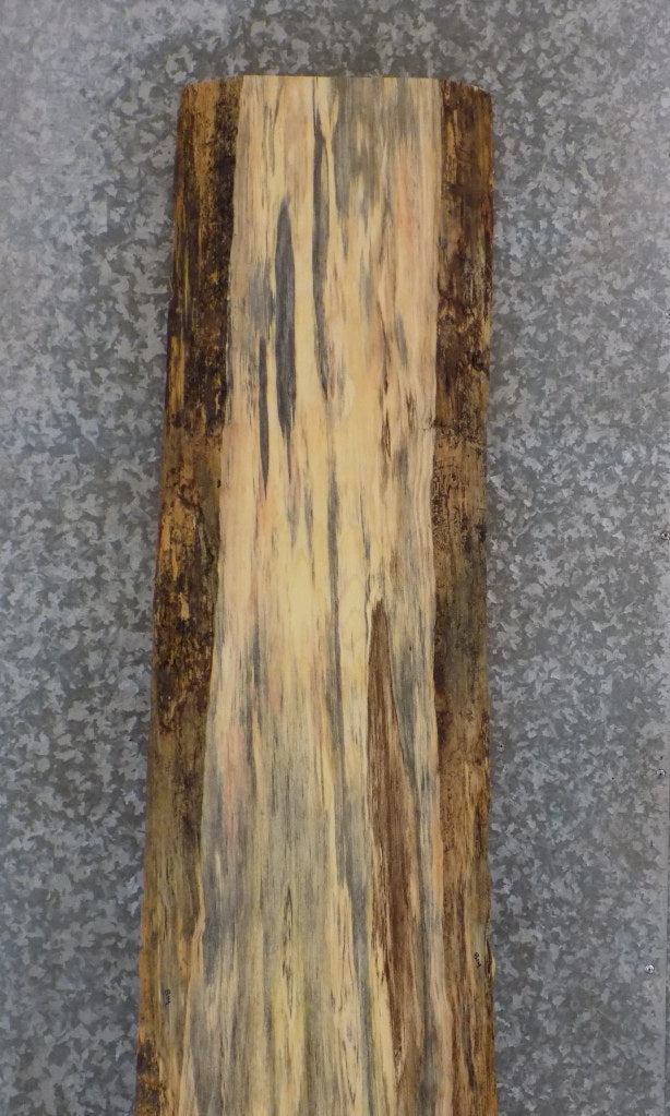 Natural Edge Spalted Pine Bar/Sofa Table Top Slab CLOSEOUT 814