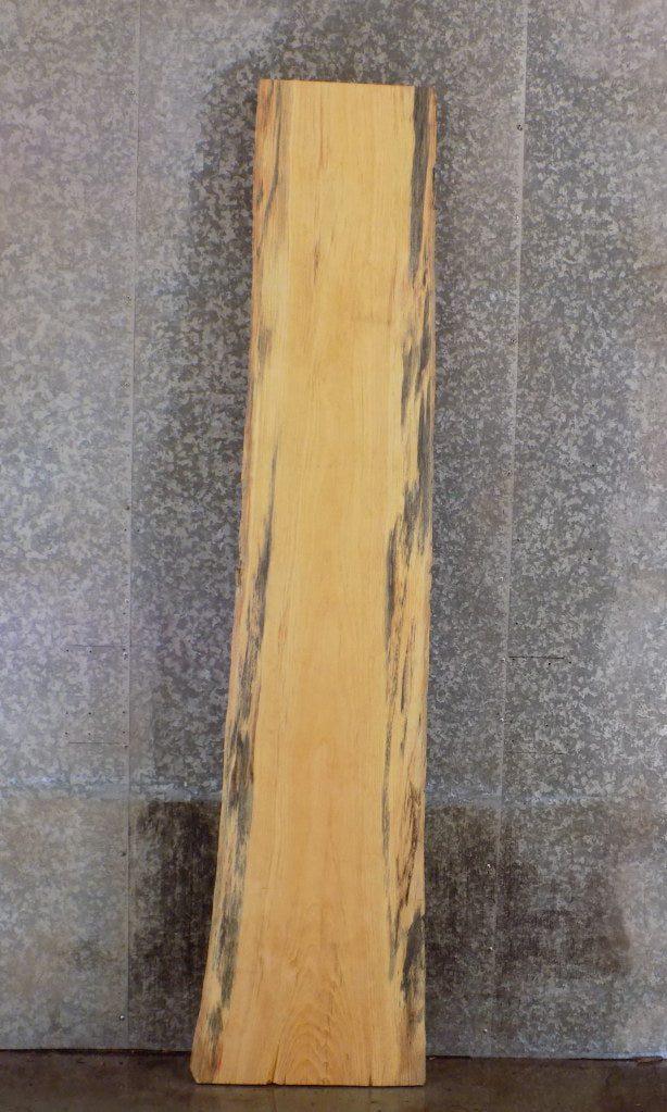 Natural Edge Spalted Pine Bar/Sofa Table Top Slab CLOSEOUT 814
