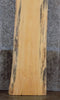 Thumbnail for Natural Edge Spalted Pine Bar/Sofa Table Top Slab CLOSEOUT 814