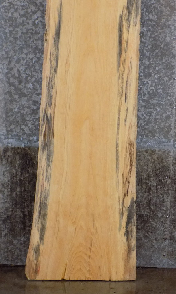 Natural Edge Spalted Pine Bar/Sofa Table Top Slab CLOSEOUT 814