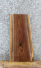 Thumbnail for Live Edge Black Walnut Taxidermy Mount/Side Table Slab 8155