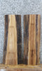 Thumbnail for 2- Live Edge Black Walnut Taxidermy Mount/Side Table Slab 8157-8158
