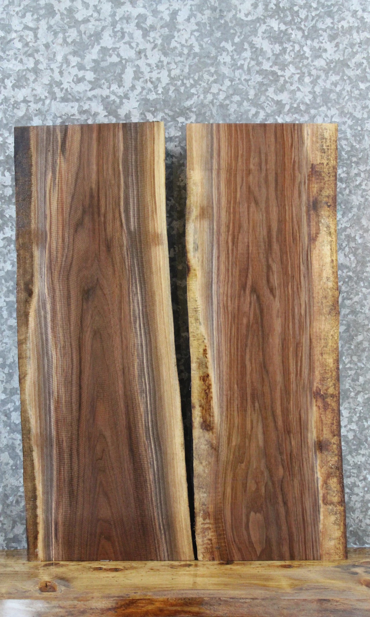 2- Live Edge Black Walnut Taxidermy Mount/Side Table Slab 8157-8158
