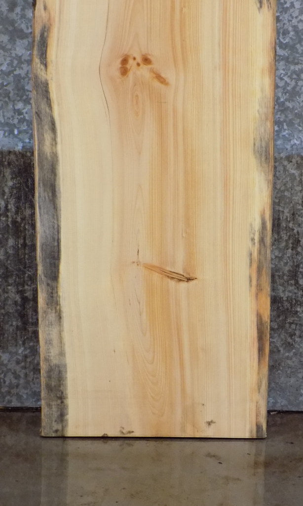 Natural Edge Pine Office Desk/Sofa Table Top Slab CLOSEOUT 815