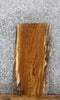 Thumbnail for Live Edge White Oak Taxidermy Mount/Side Table Slab 8161